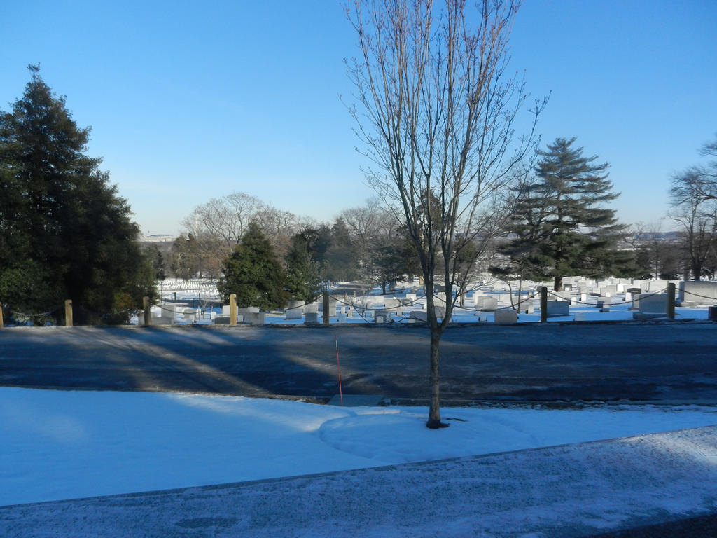 The Evergreens of Arlington Cemetery