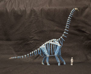 Brachiosaurus altithorax adult