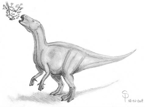Iguanodon sp. 2