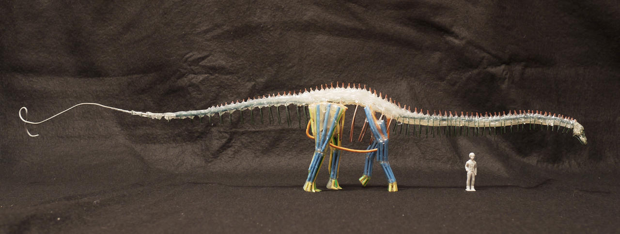Diplodocus hallorum by DiNoDrAwEr on DeviantArt