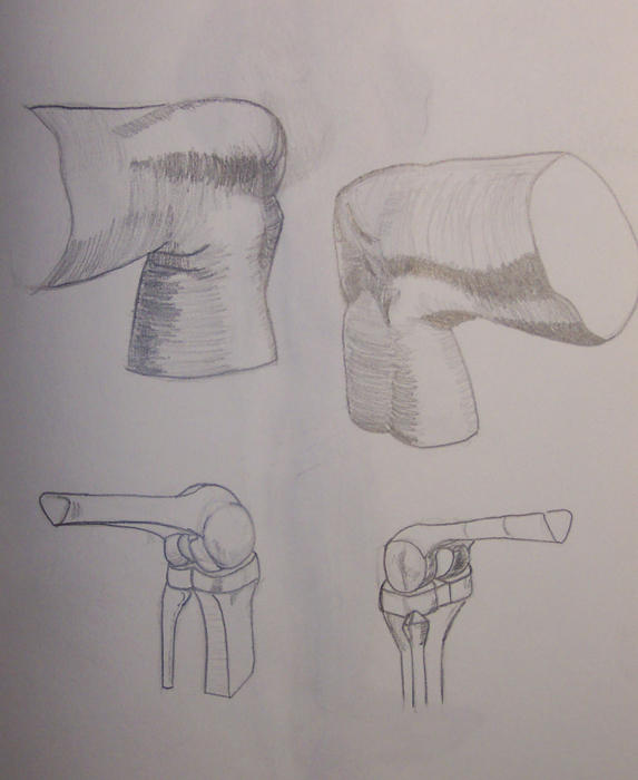 Deviantart Knees knees by lipperchaun on DeviantArt