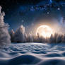 Winter Moon