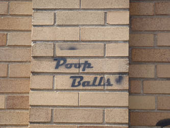 Poop Balls
