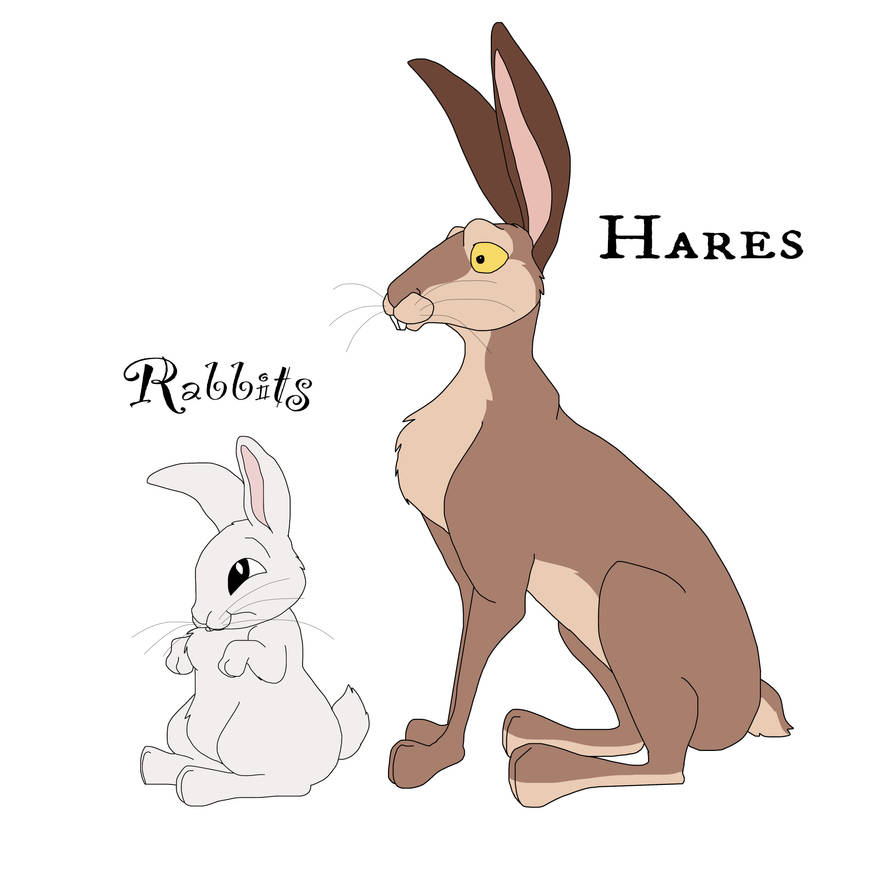 Rabbit vs Hare by Hyzenthlay-Rose on DeviantArt