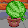 My Watermelon Pot