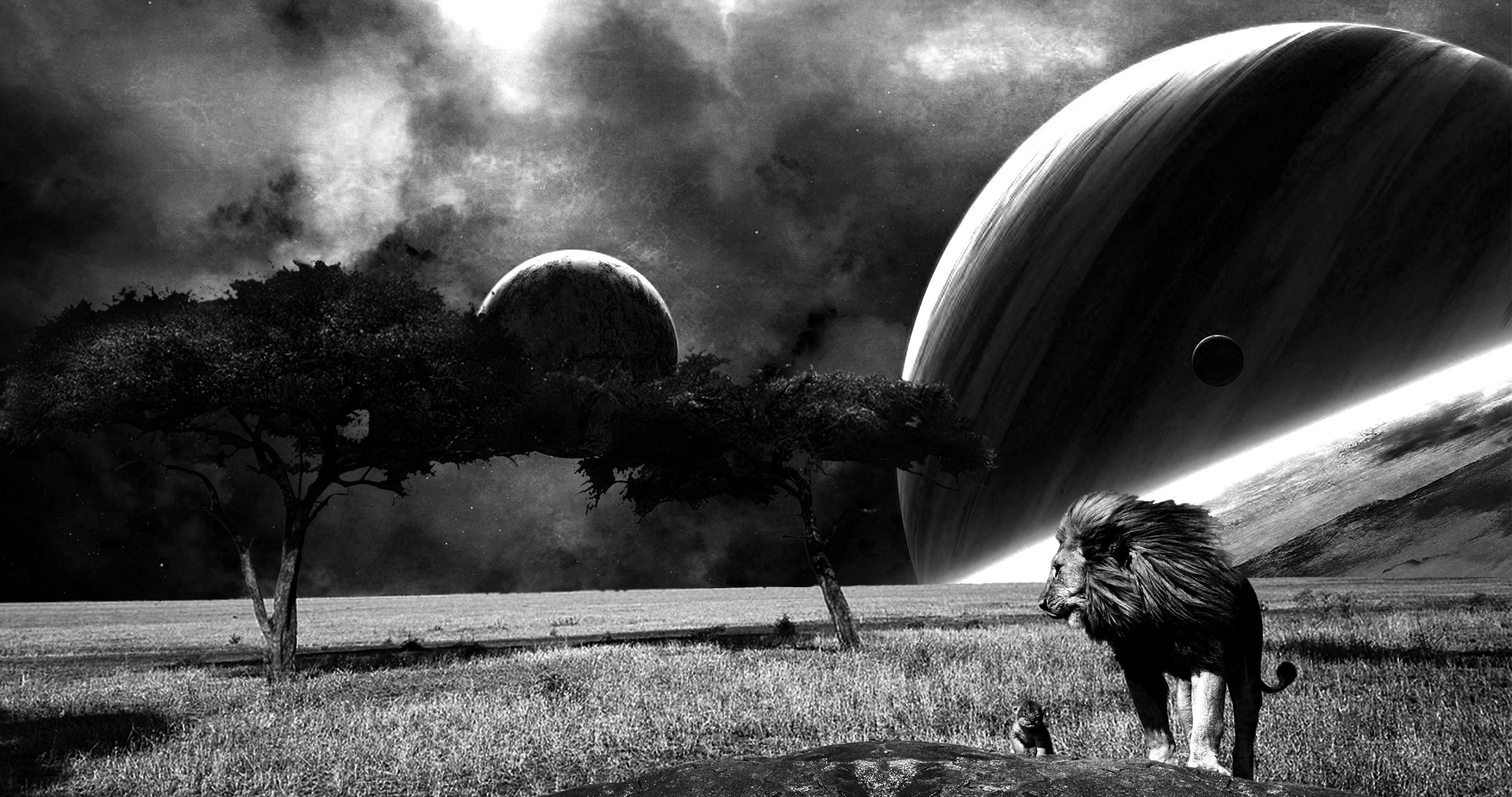 Lion and the Universe (4K)