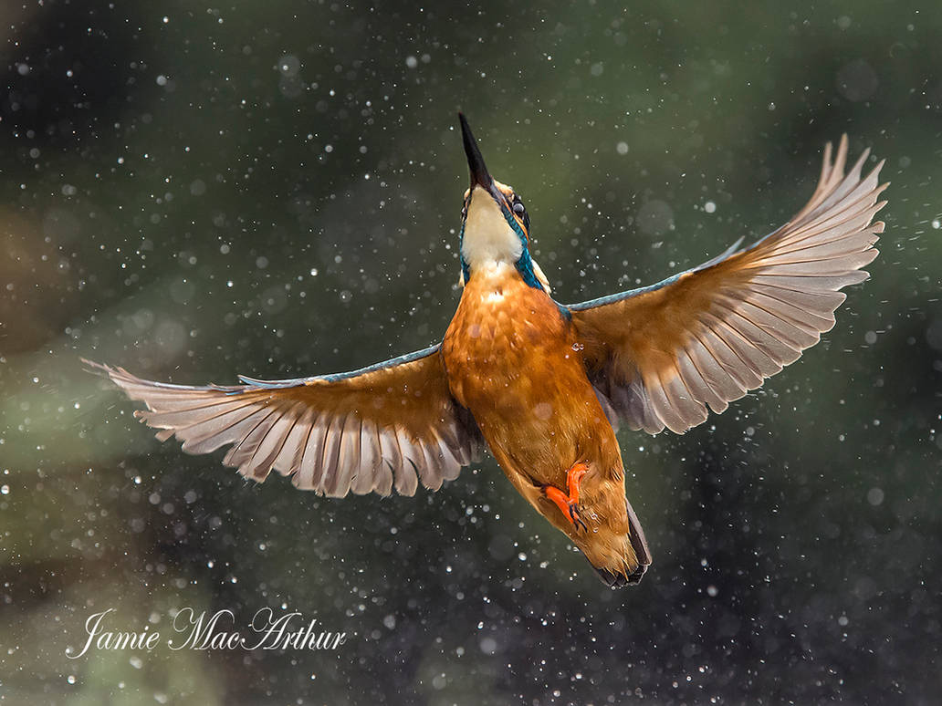 UP UP and away by Jamie-MacArthur