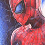 The amazing spider-man