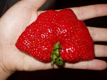 A REALLY big Strawberry