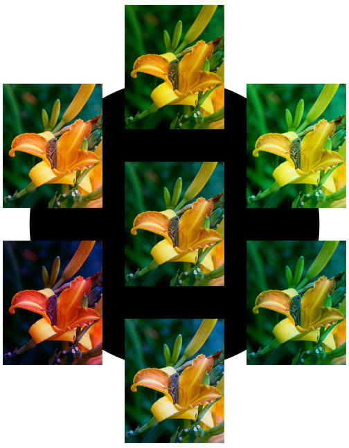 Locus Color Locust Color Wheel by TowiWakka on DeviantArt