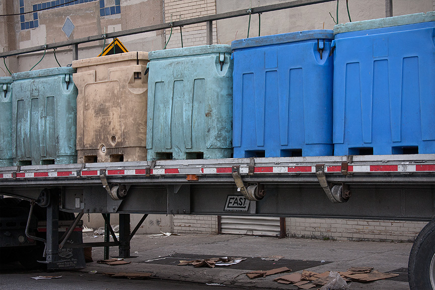 Colored Bins