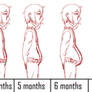 Pregnancy Progression Chart (Single)