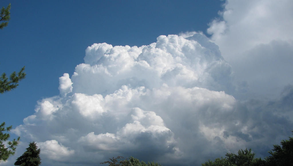 Thunderhead Rising