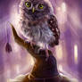 owl and magic hat