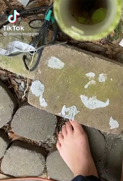Tik Tok Feet 59 By Thrnst On Deviantart Tik Tok Feet 59 By Thrnst On Deviantart