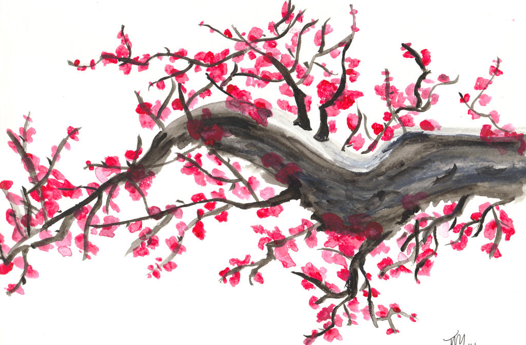 Japanese cherry blossom. by GiNg3r295 on DeviantArt