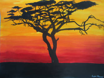 African Sunset