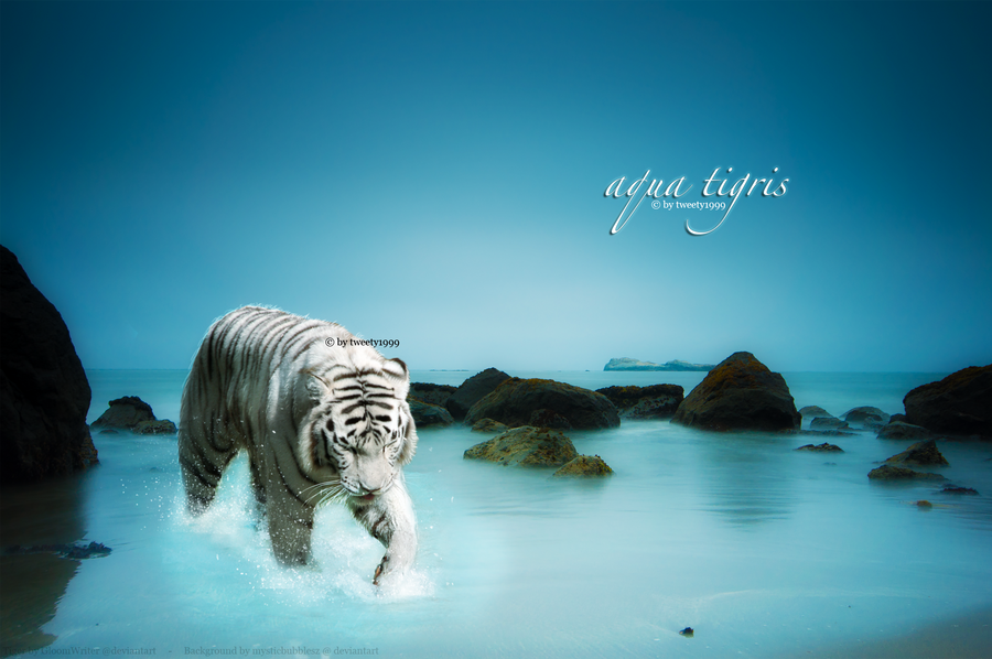 Aqua Tigris
