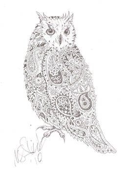 Paisley owl