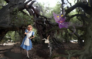Alice by SybilThorn Alice by SybilThorn