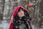 Winter Encounter by SybilThorn