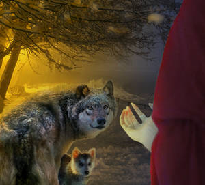 Befriend by SybilThorn Befriend by SybilThorn