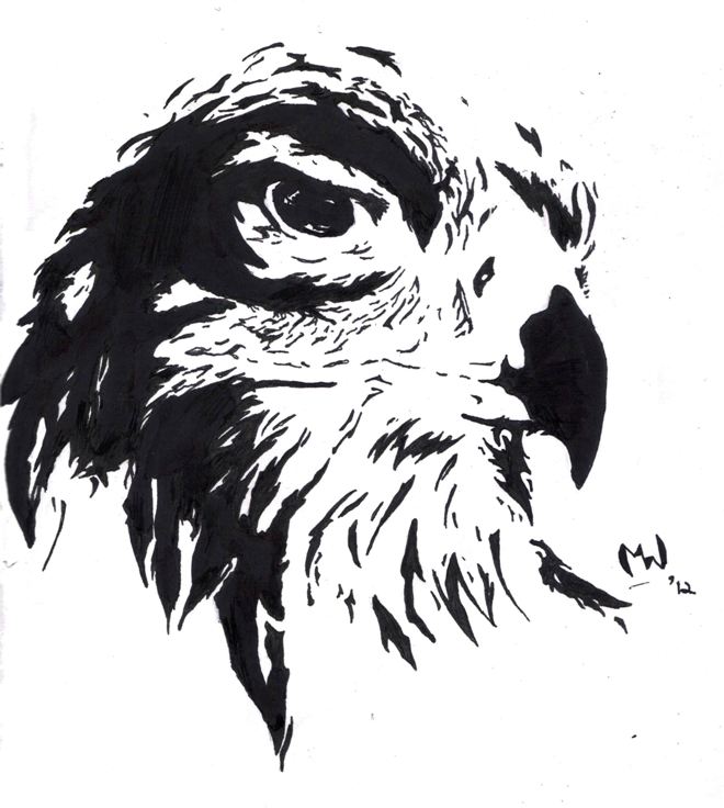 High Contrast Hawk By Mieyth Wolftear On Deviantart