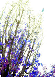Violet Fairy Tree