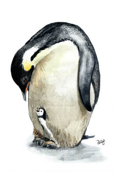 Emperor Penguin and chick