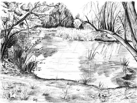 Pond near Stockley Park