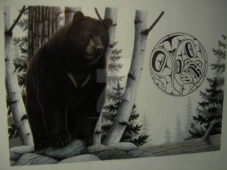 Black bear, Moon design