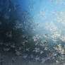 Frost Crystals: Wallpaper