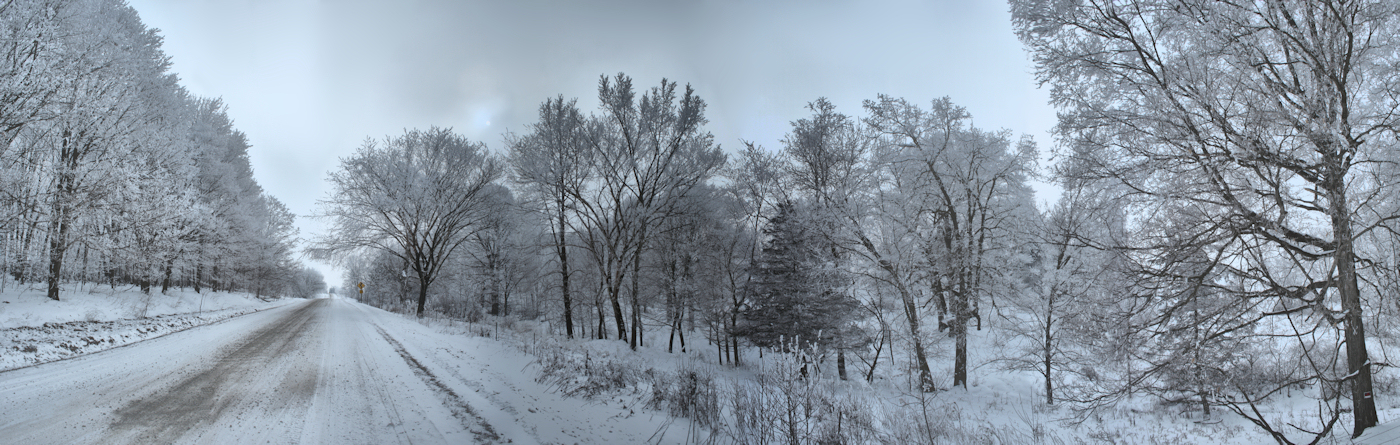 Frosted Woods Panorama HDR