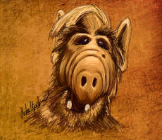 ALF