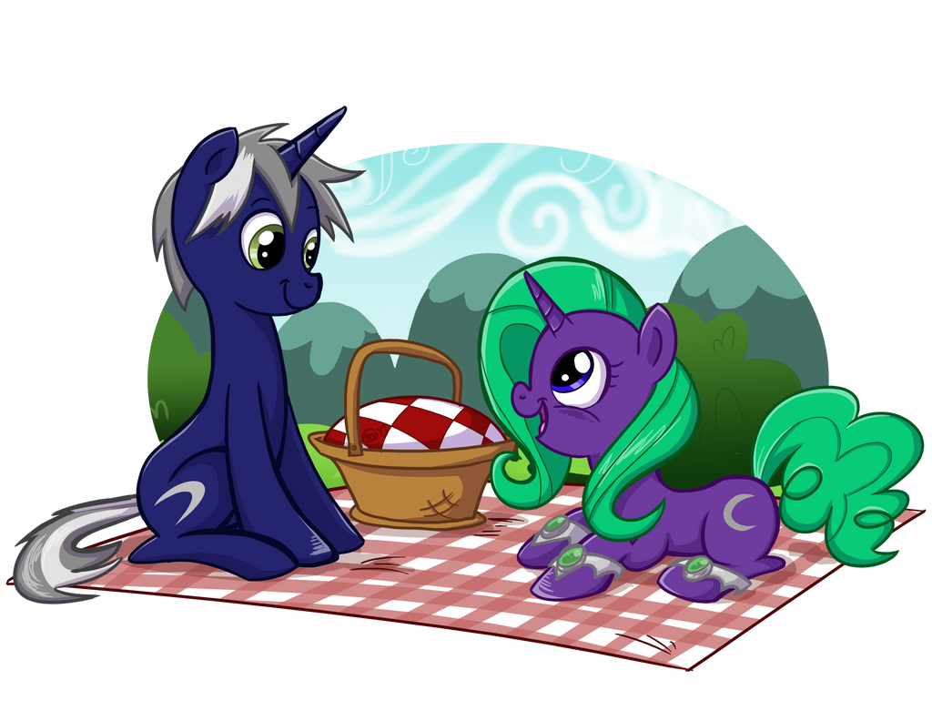 Comm - A Picnic for Two