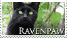 Ravenpaw Stamp by VampsStock