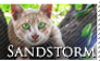 Sandstorm Stamp