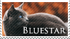 Bluestar Stamp by VampsStock