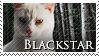 Blackstar Stamp by VampsStock