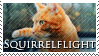 Squirrelflight Stamp