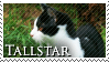 Tallstar Stamp