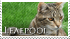 Leafpool Stamp by VampsStock