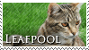 Leafpool Stamp