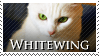 Whitewing Stamp