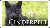 Cinderpelt Stamp by VampsStock