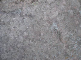 Stone Texture 1