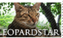 Leopardstar Stamp