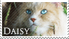 Daisy Stamp