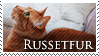 Russetfur Stamp by VampsStock