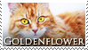 Goldenflower Stamp